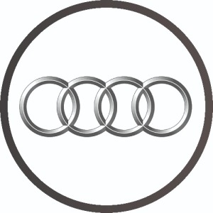 Automobilių elektronikos remontas Vilniuje AUTOELREM. Audi