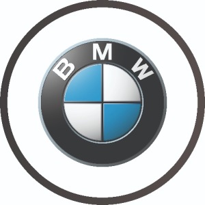 Automobilių elektronikos remontas Vilniuje AUTOELREM. BMW