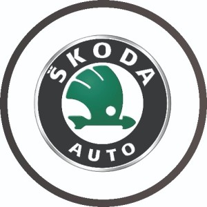 Automobilių elektronikos remontas Vilniuje AUTOELREM. Škoda